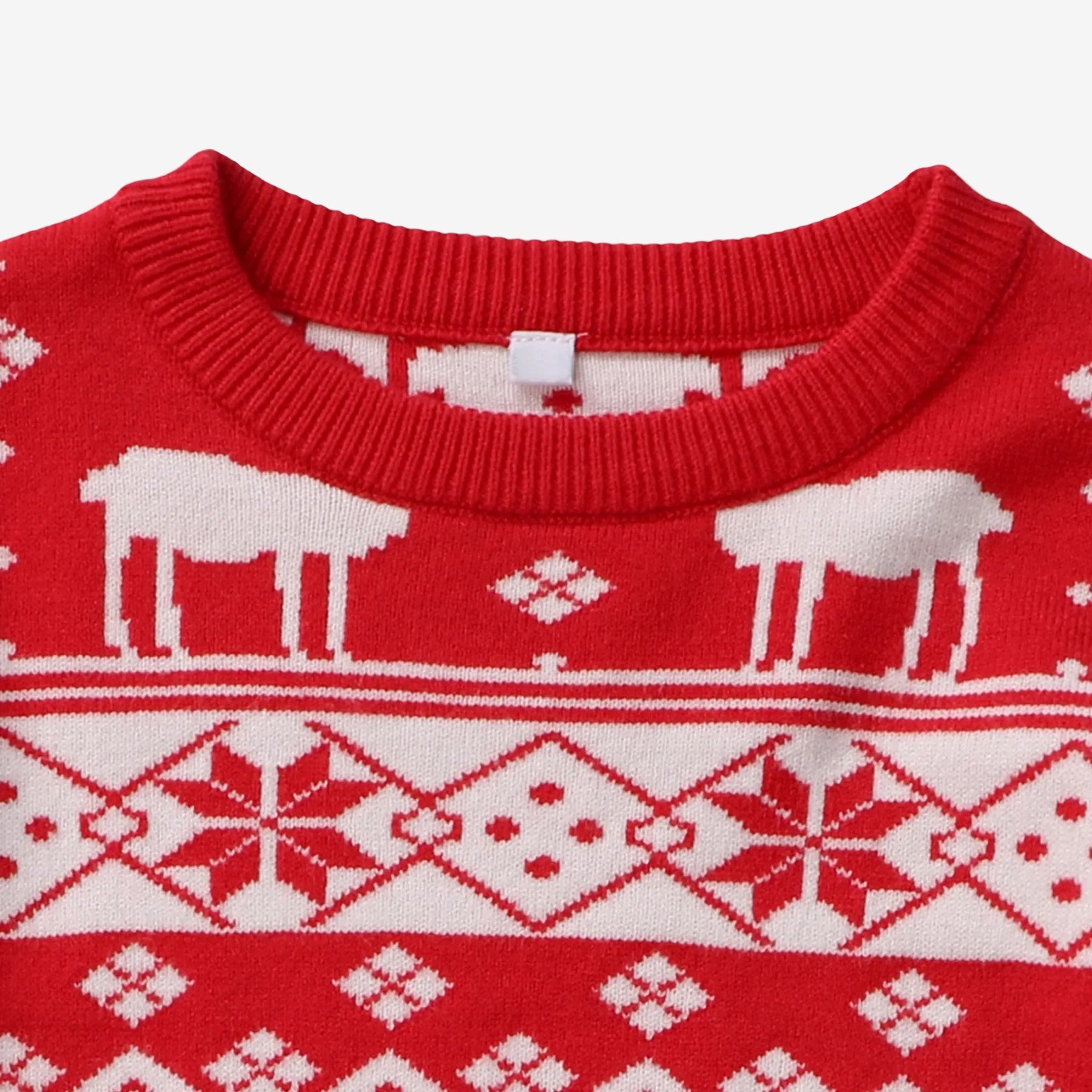 Holly Jolly Matching Sweater