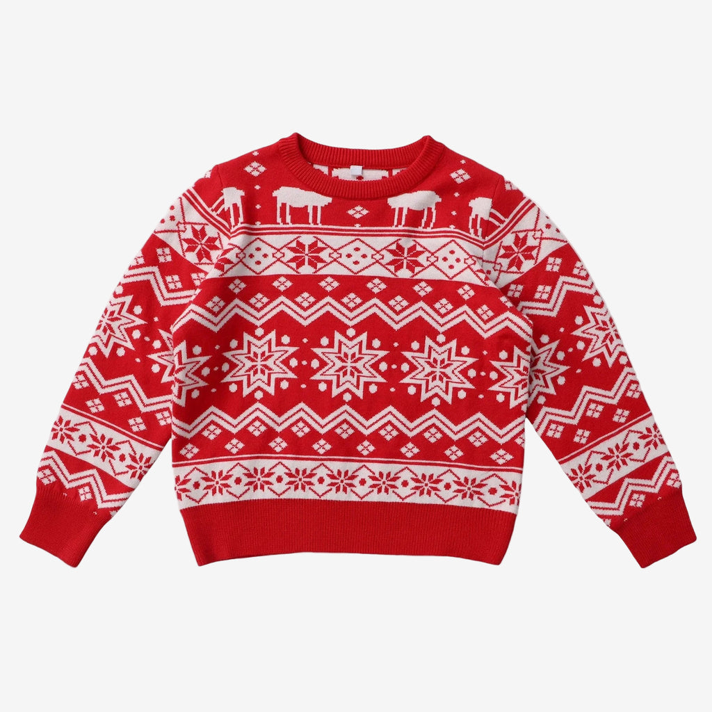 Holly Jolly Matching Sweater