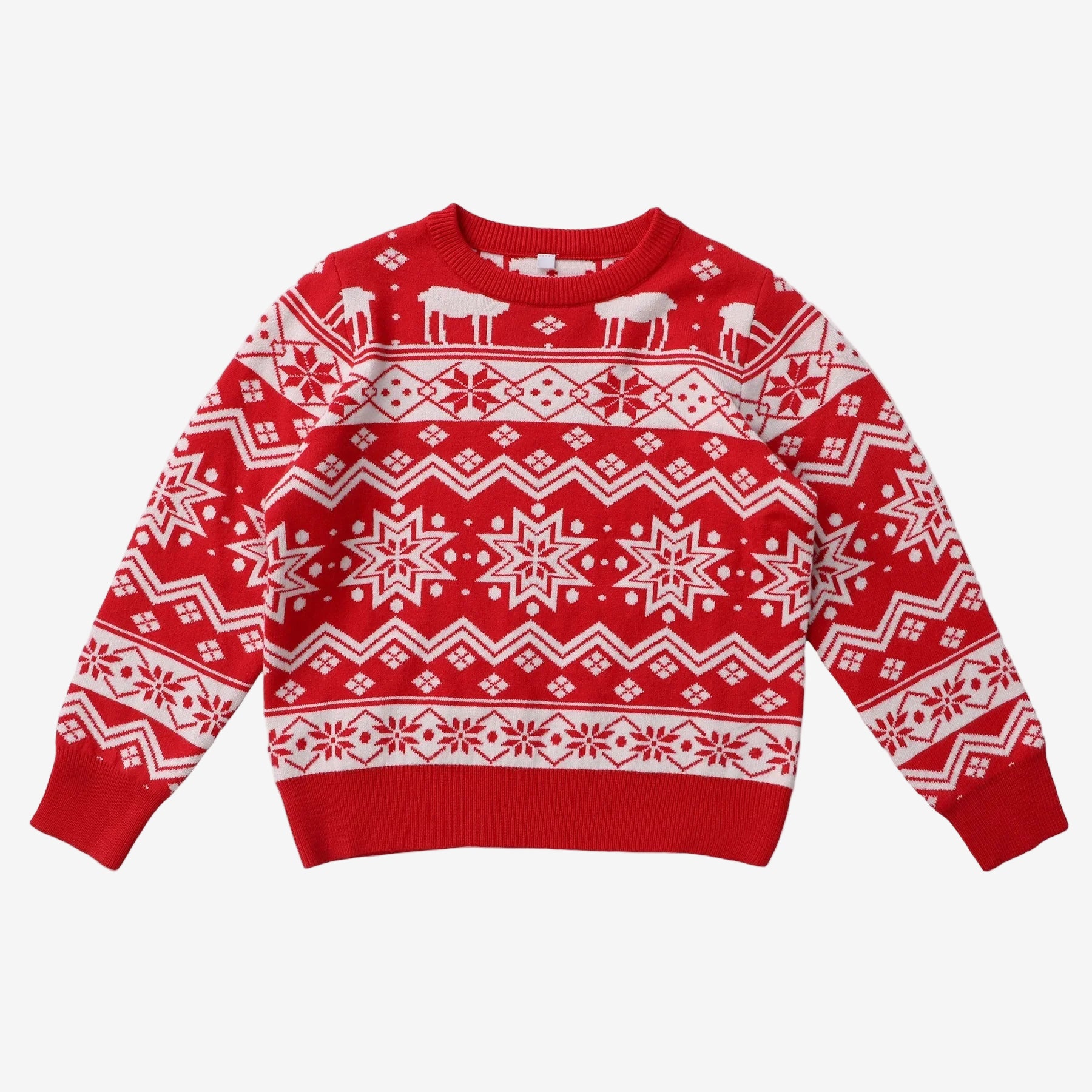 Holly Jolly Matching Sweater